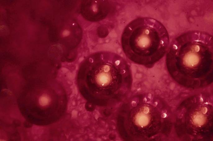 Our Approach to Cancer Diagnostics