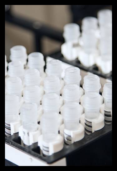 Our science sets mobile